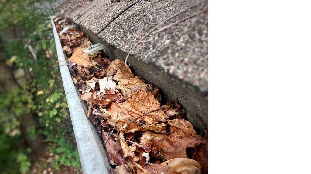 Gutter Cleaning